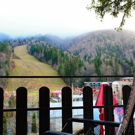Pensiunea Elemar Азуга Экстерьер фото